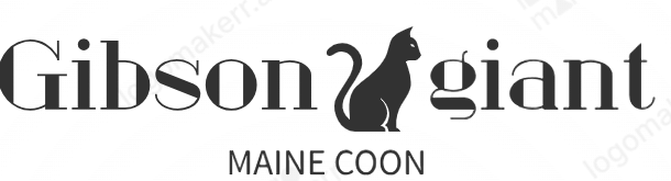Gibson giant Maine coon Home